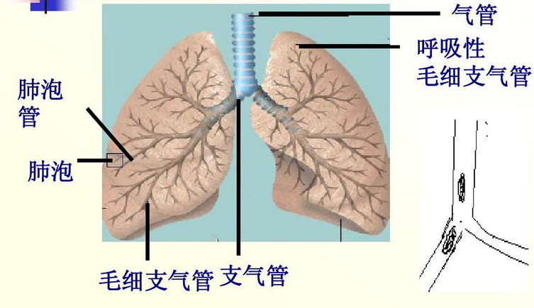 微信圖片_20210628130724.png