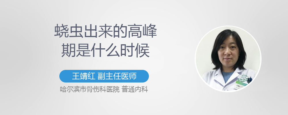 蛲虫出来的高峰期是什么时候