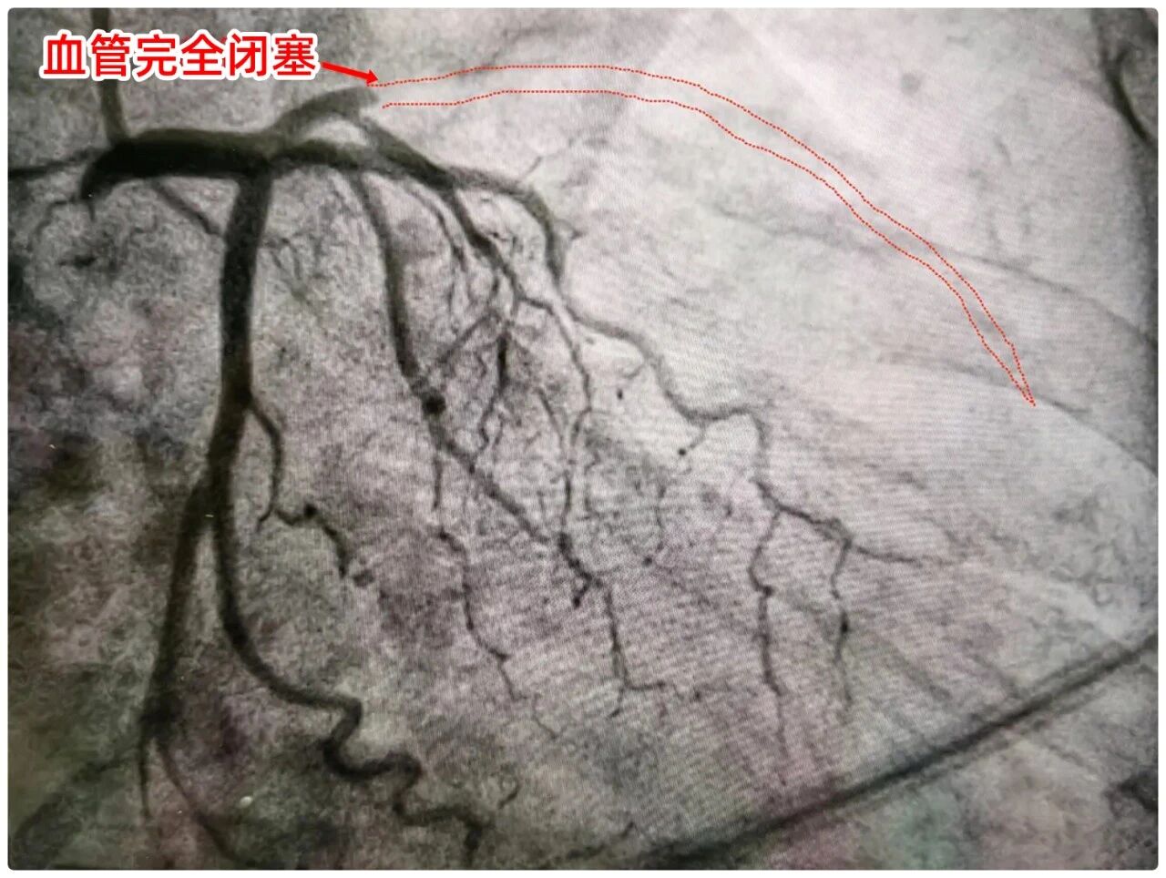 jpg 微信图片_2026-09-28_175250_439.jpg