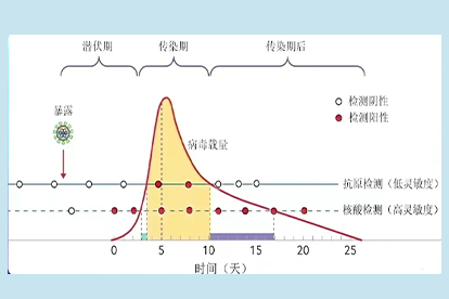 核酸弱阳性传染的概率是多少.png