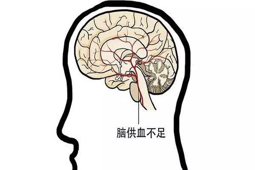 下载 (3).jpg