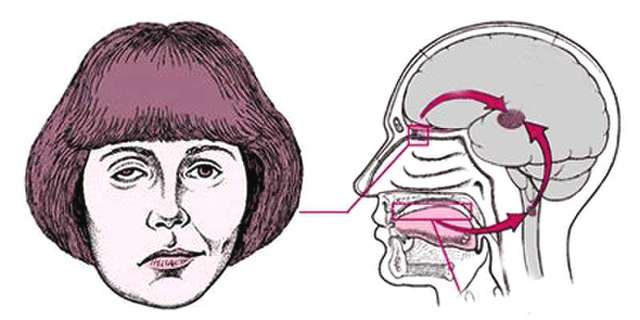 jpg u=2413178615,2834166499&fm=26&gp=0.jpg