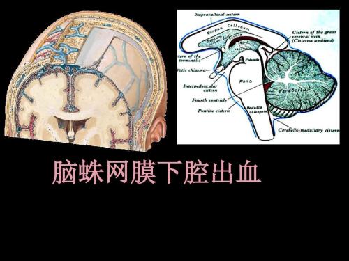 下载 (2).jpg