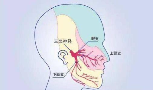 u=2287032566,449281453&fm=26&gp=0.jpg