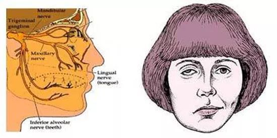 jpg u=2678753578,3089444175&fm=26&gp=0.jpg