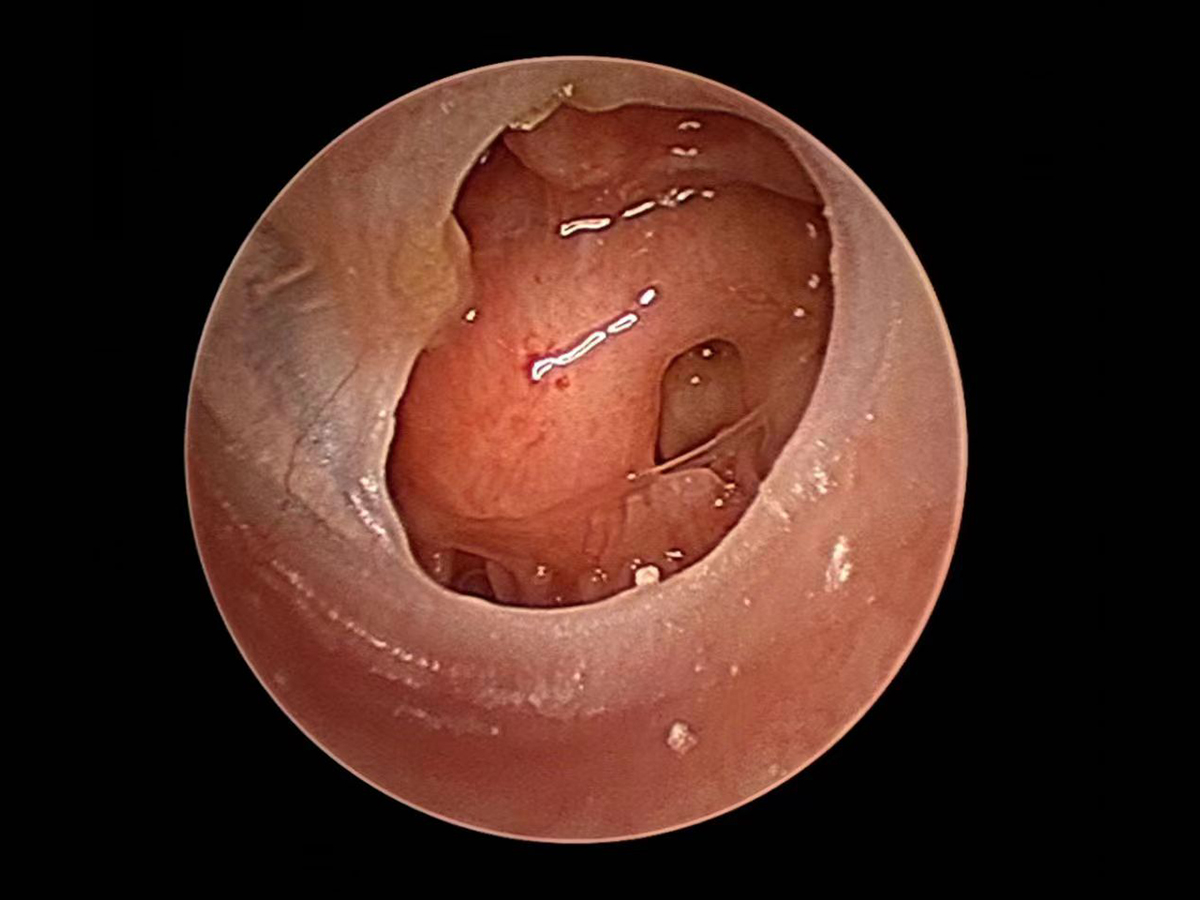 jpg 微信图片_20220525100335.jpg