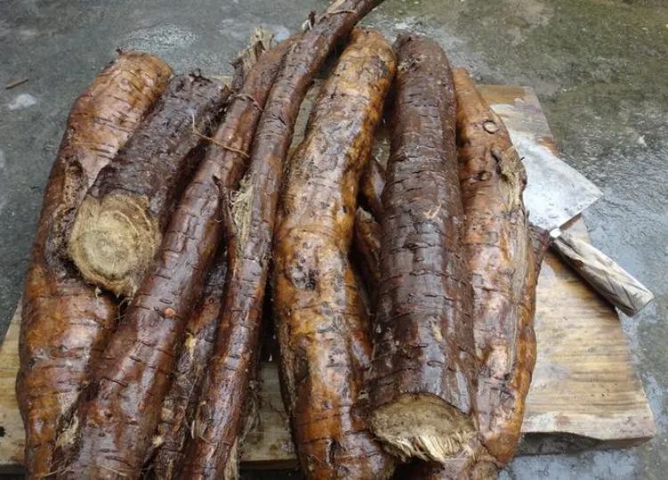 jpg 野生葛根.jpg