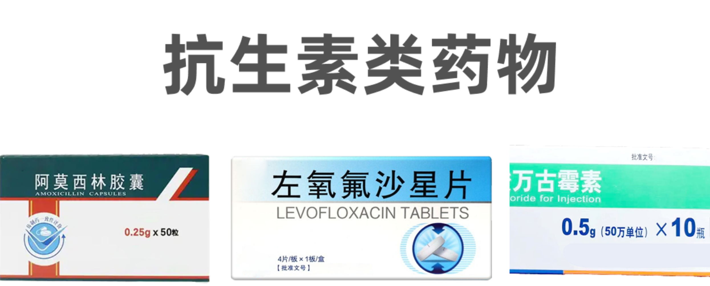 微信圖片_20250825131720_86_95.png