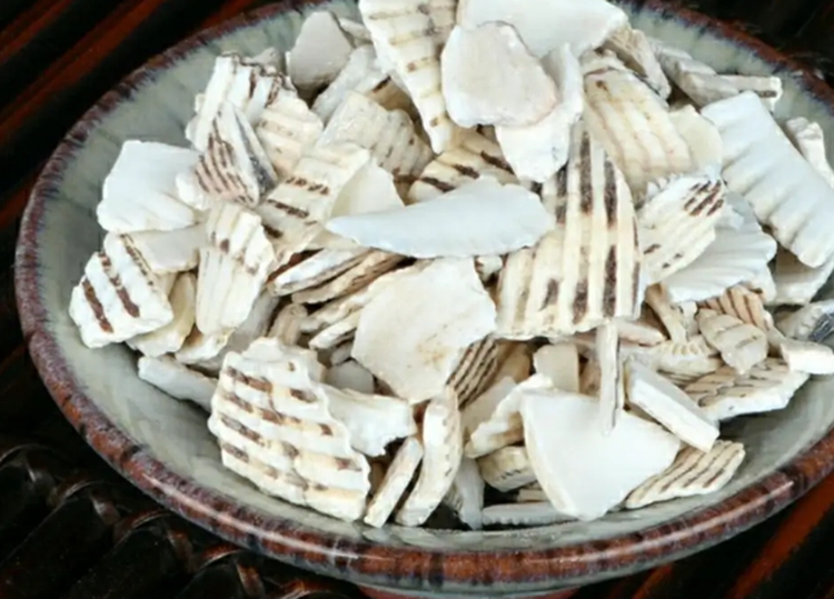 jpg 煅瓦楞子.jpg