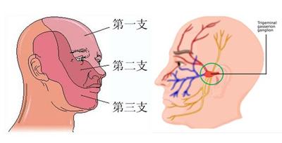u=2554697931,3015604634&fm=26&gp=0.jpg