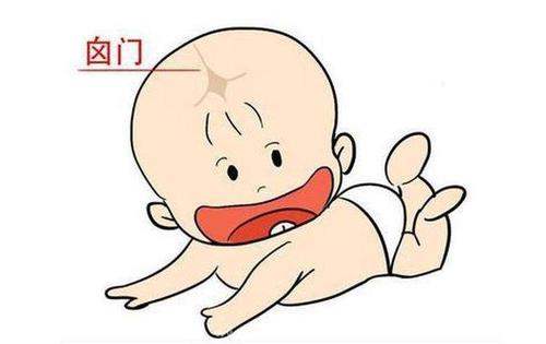 u=1263451407,2564865944&fm=26&gp=0.jpg