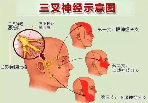 下载 (3).jpg