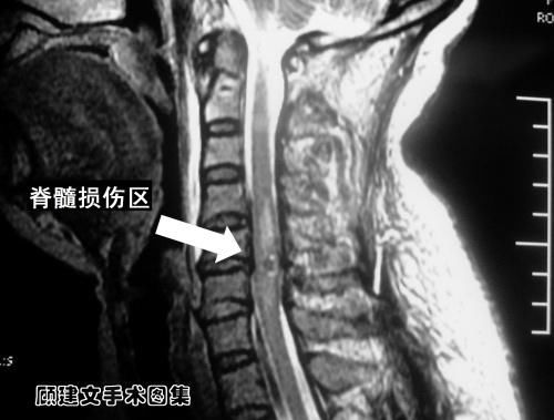 u=2183437007,4013058293&fm=26&gp=0.jpg