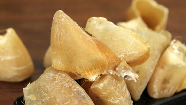 猪蹄甲的功效与作用、禁忌和食用方法