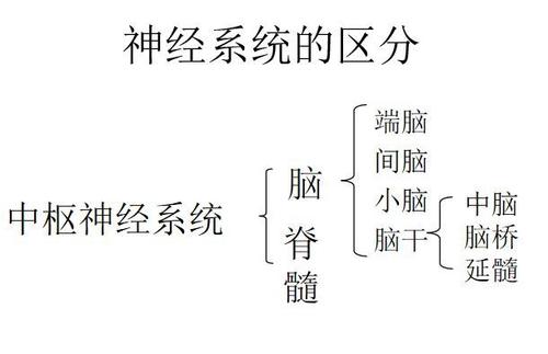 u=2183883287,1687062622&fm=26&gp=0.jpg