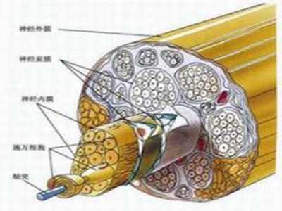 u=3631345635,2325760982&fm=26&gp=0.jpg