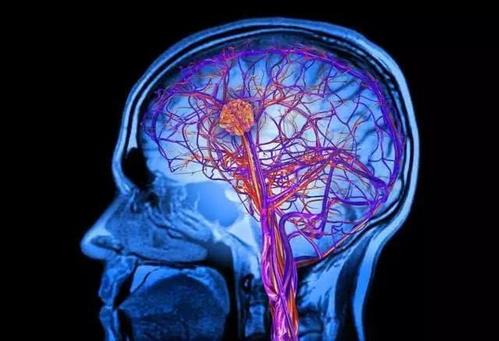 jpg u=1324799308,2738962455&fm=26&gp=0.jpg