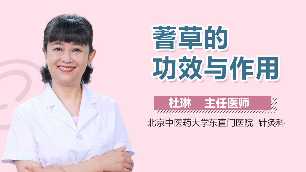 蓍草的功效與作用