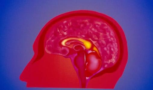 jpg u=3775788589,1566028068&fm=26&gp=0.jpg