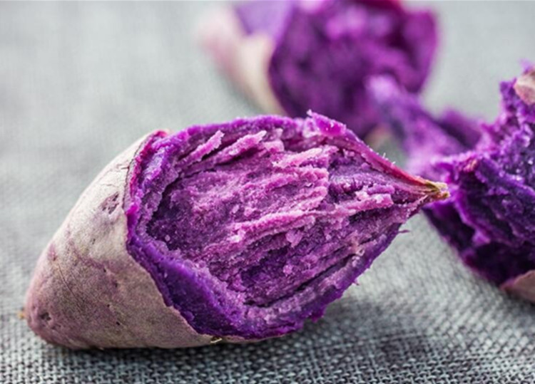 jpg 乌药_副本.jpg