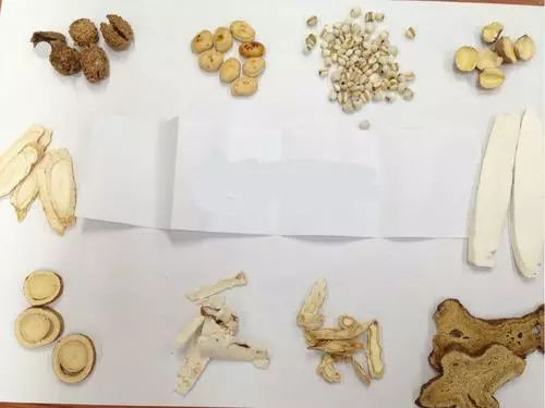 参苓白术散“培土生金”如何理解?