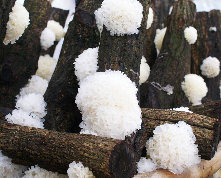 jpg 1561450453(1).jpg