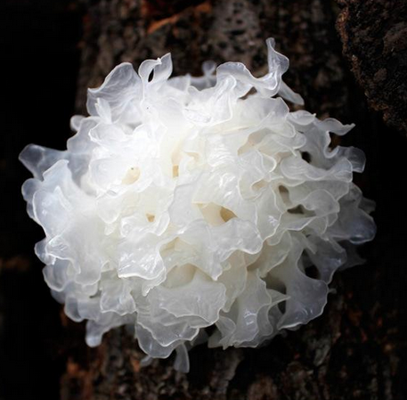 jpg 1545359900(1).jpg