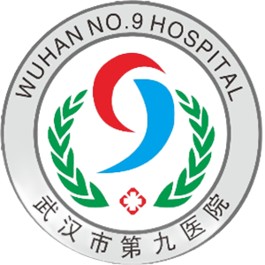 武汉市第九医院