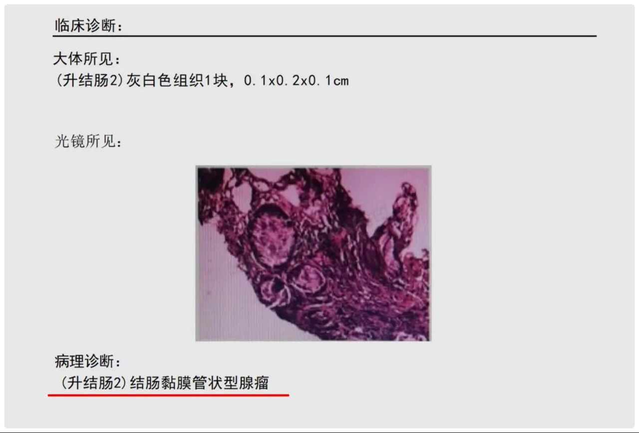 jpg 微信图片_2026-08-12_183249_980.jpg
