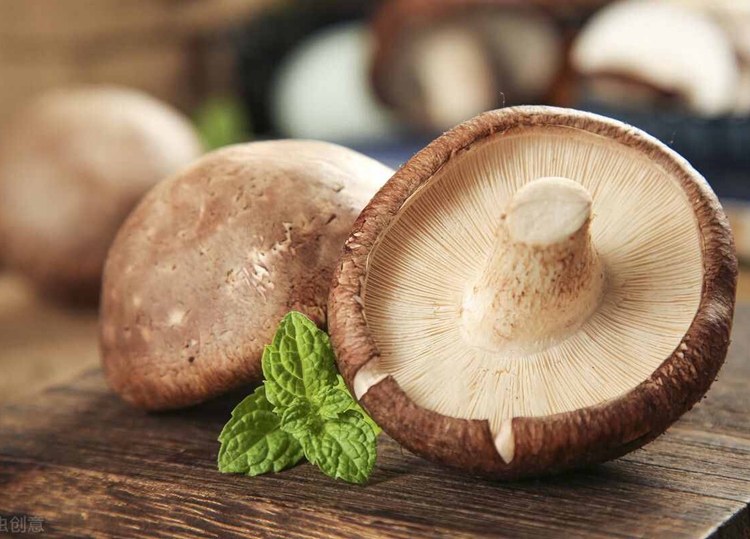 冬菇.jpg