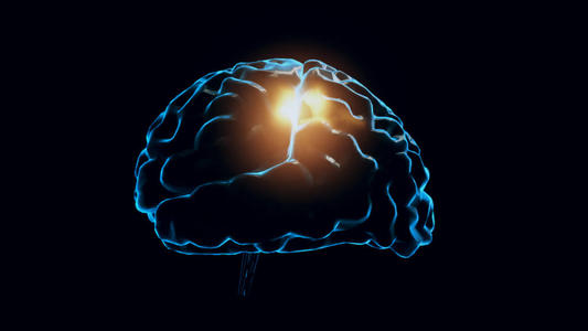 u=2709139684,88637341&fm=26&gp=0.jpg