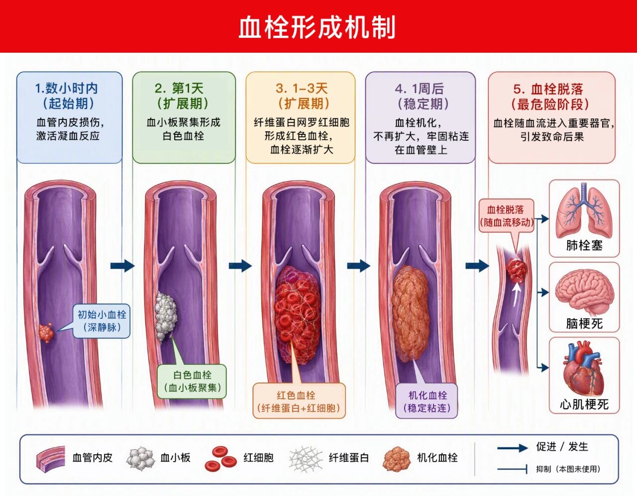 jpg 微信图片_2026-08-31_182014_042.jpg