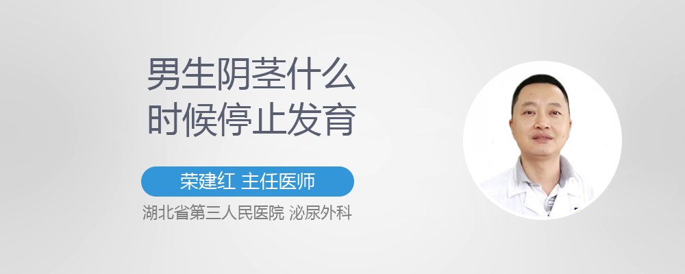 男生阴茎什么时候停止发育