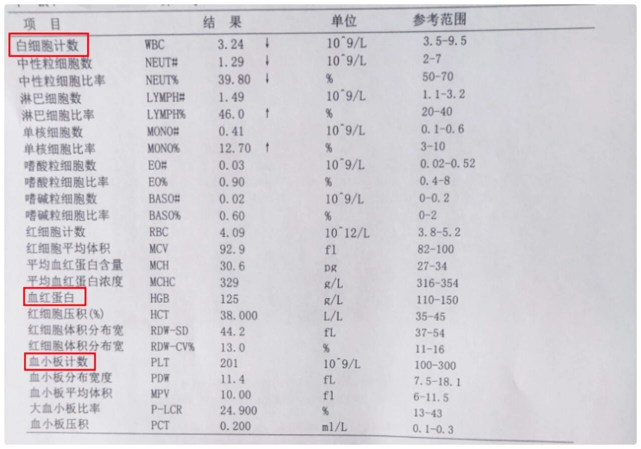微信圖片_2026-04-29_105707_984.jpg