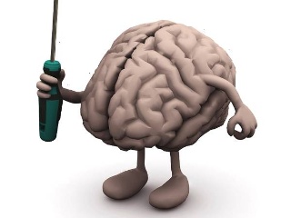 u=410296895,411908839&fm=26&gp=0.jpg