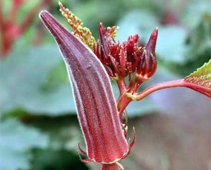 jpg 1561541361(1).jpg