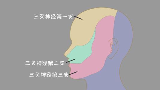 u=3560441978,401669373&fm=26&gp=0.jpg