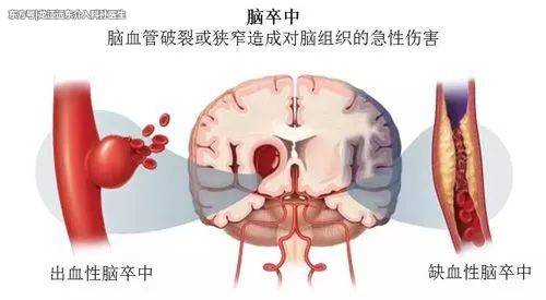 u=3227779481,2571284761&fm=26&gp=0.jpg