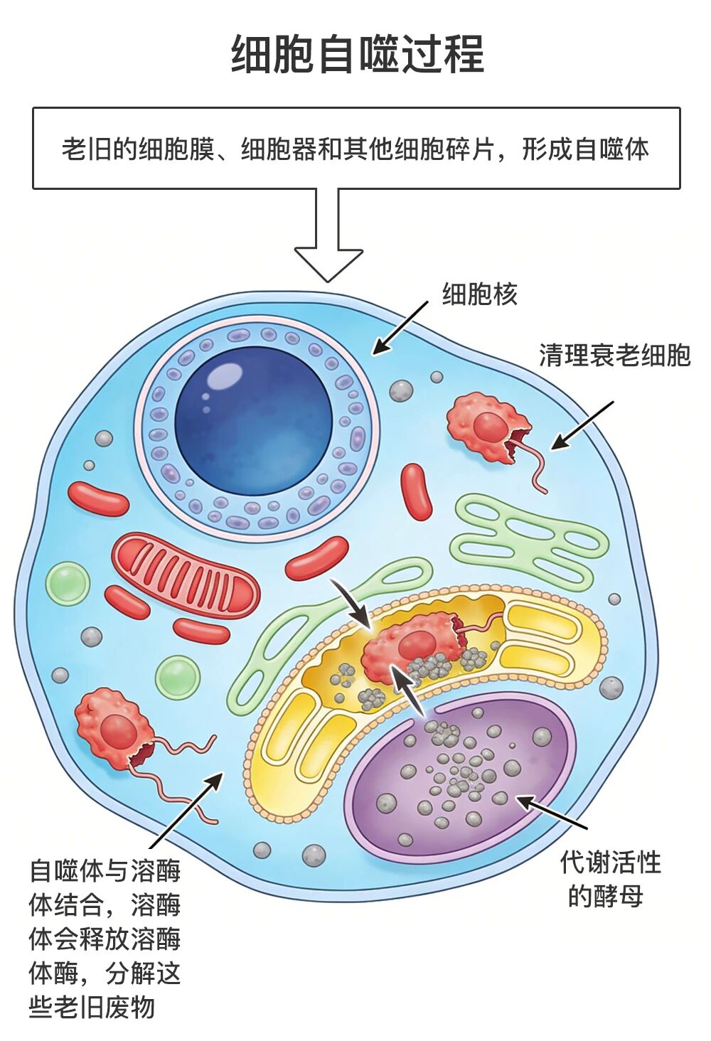 jpg 微信图片_2026-01-09_095026_210.jpg