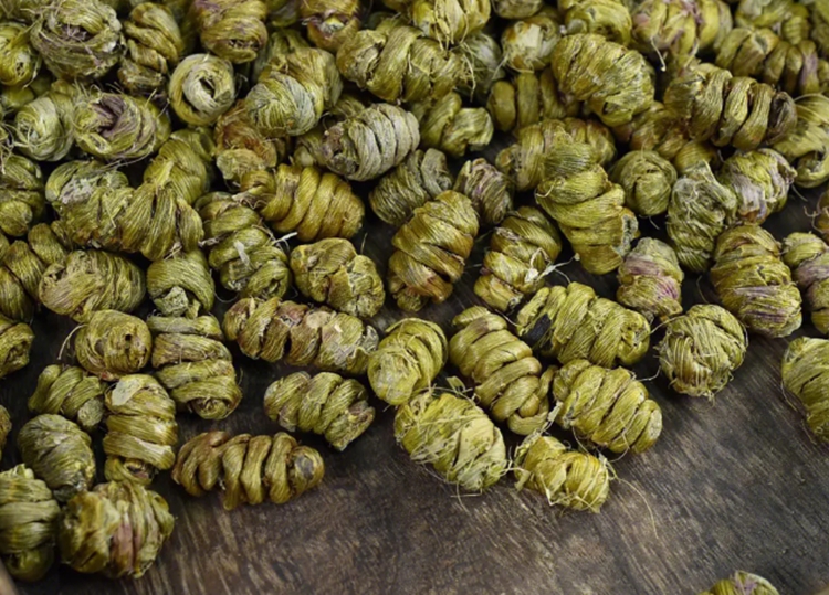 jpg 铁皮石斛.jpg