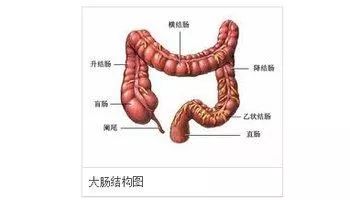 如果由于各种原因导致直肠粘膜对刺激的敏感性下降,排便反射能力下降