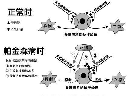 u=1292529353,1322973233&fm=26&gp=0.jpg