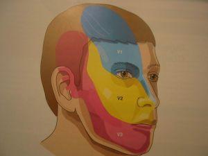 u=2487405447,2058937615&fm=26&gp=0.jpg