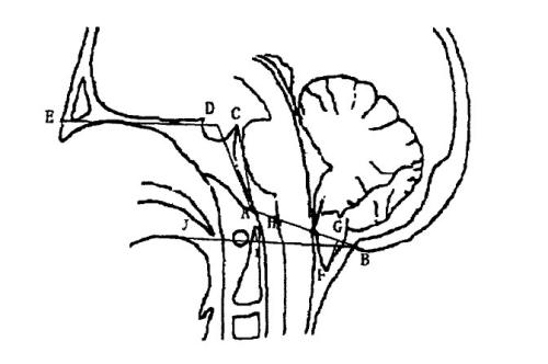 u=2785875796,528784901&fm=26&gp=0.jpg