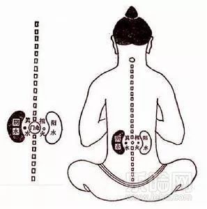 后阴即魄门,与肾气的关系非常密切.
