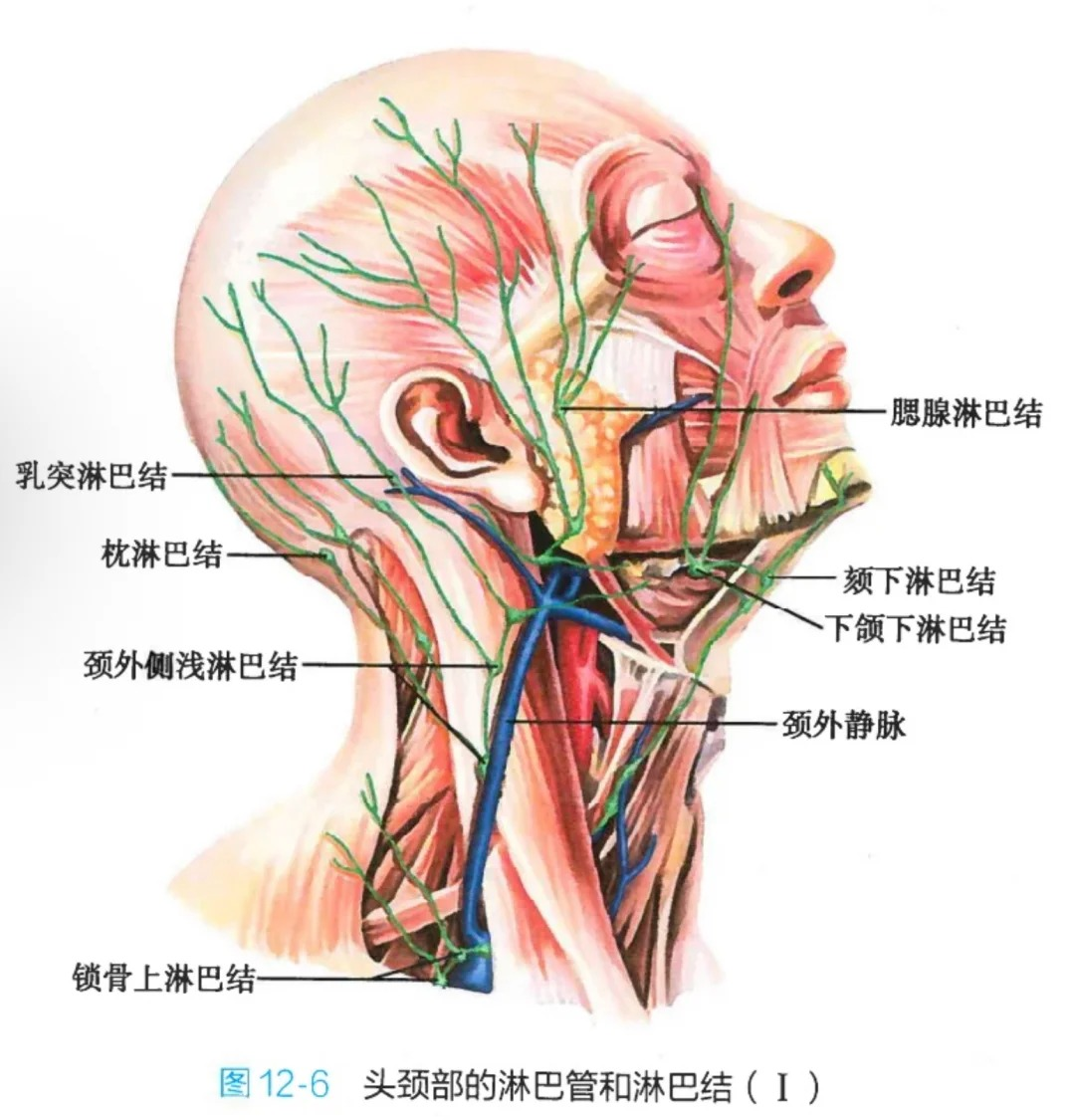 png 图片7.png