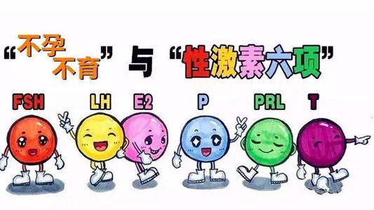 jpg 性激素六项.jpg