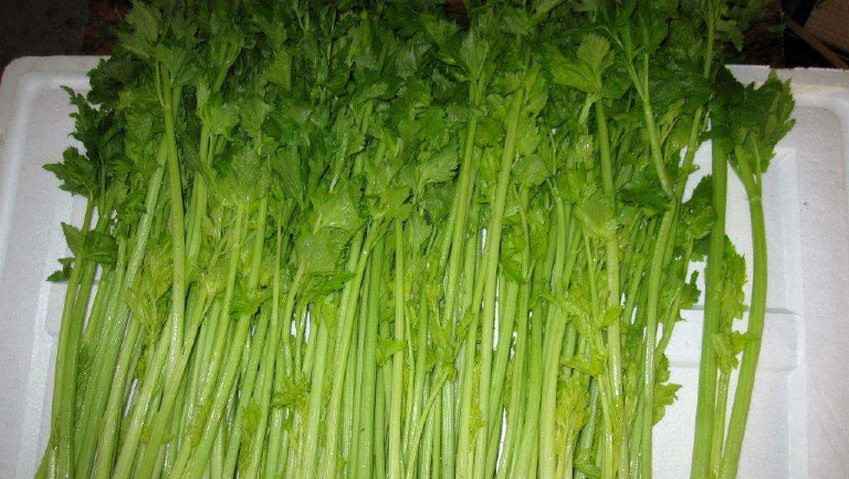 欧芹的功效与作用、禁忌和食用方法