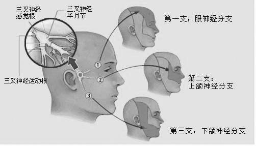 u=3090977250,2451151533&fm=11&gp=0.jpg