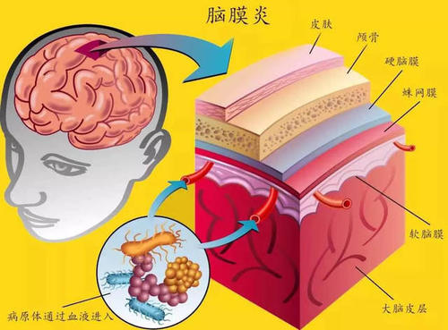 下载 (14).jpg